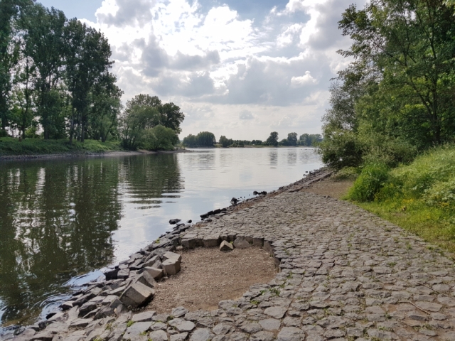 Bild Ausblick auf die Siegmündung in den Rhein