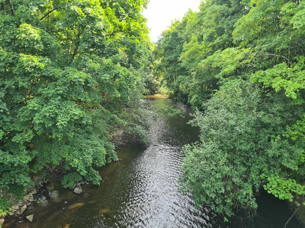Bild 27_Wupper1