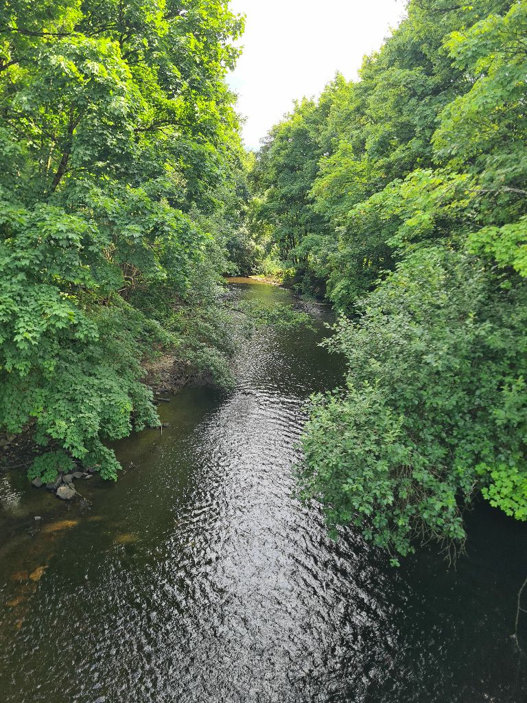 Bild 28_Wupper2