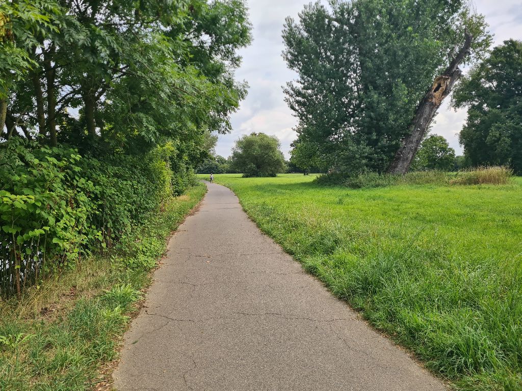 Bild 04_SiegAnfang4