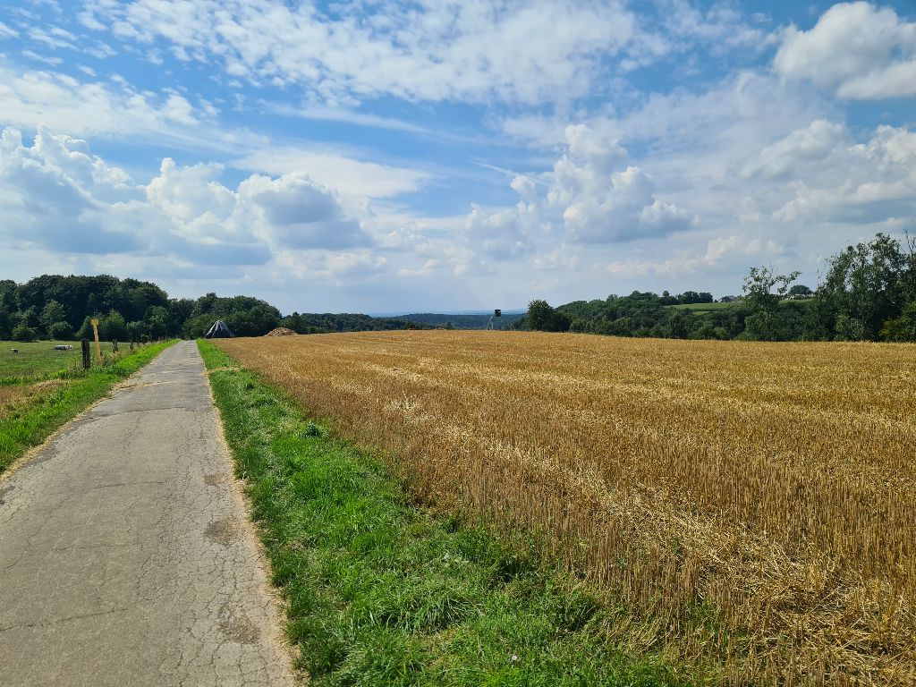 Bild 09_Höhenweg1