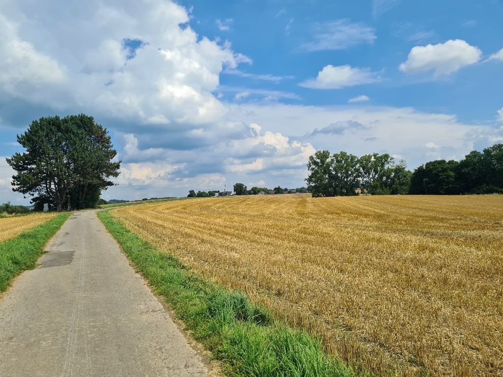 Bild 10_Höhenweg2