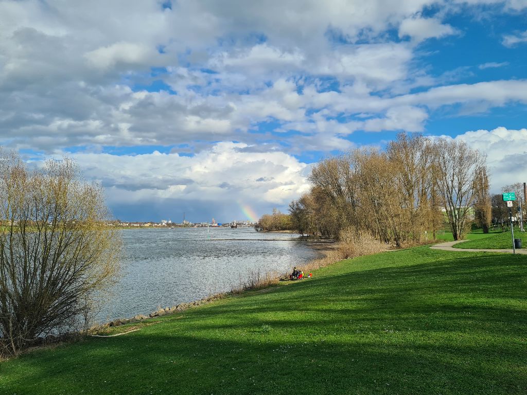 Bild 06_RheinBlickAufBonn