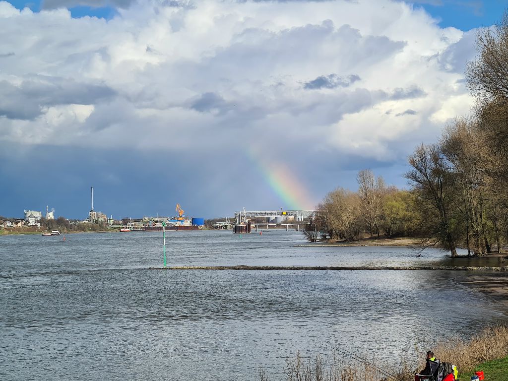 Bild 07_RheinBlickAufBonn2