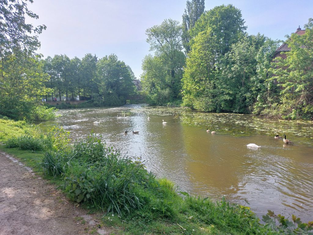 Bild 03_ParkInKoeln3